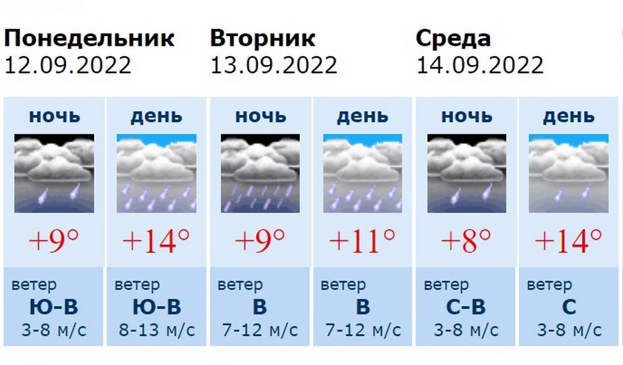 Погода в александрове гидрометцентра на 14