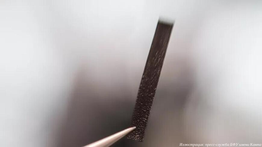 Ученые БФУ имени Канта разработали механизм создания умных материалов для медицинской 3D-печати