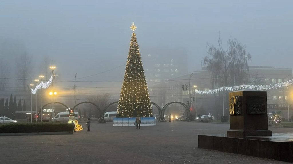 В Брянске впервые установили новогоднюю елку возле цирка