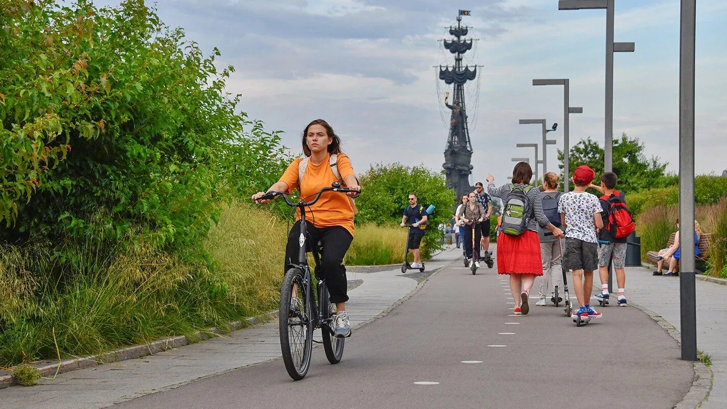 Пирог велосипедных дорожек