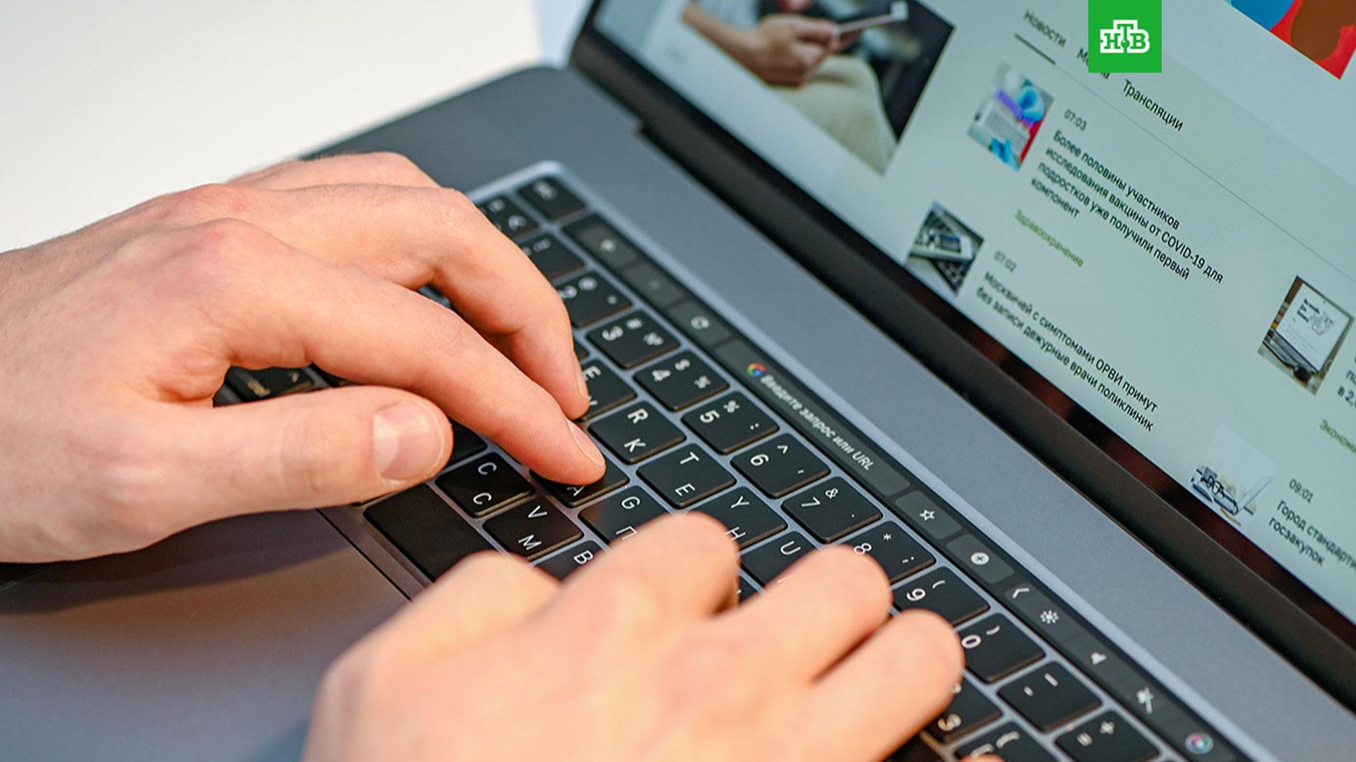 электронные услуги интернета. фотографии в электронном виде. компьютер и интернет. электронное государство. электронное фото на госуслуги.