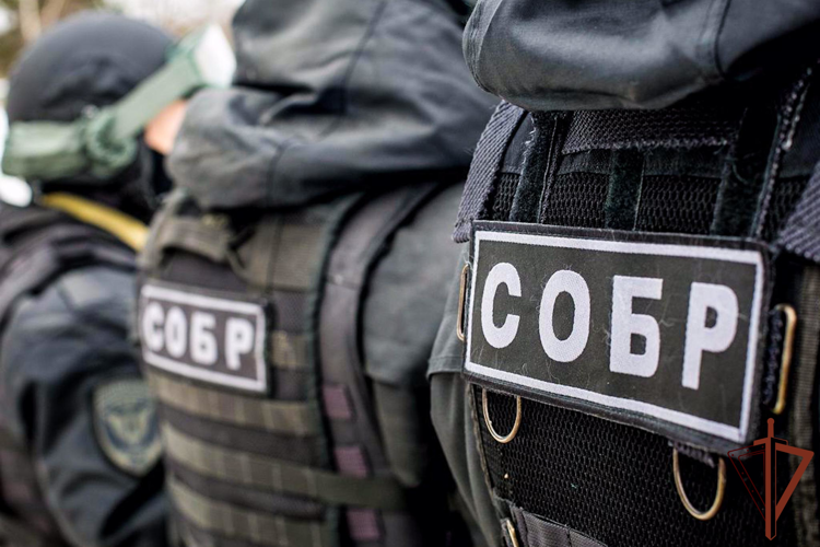 В Йошкар-Оле при содействии спецназа Росгвардии задержаны нелегальные мигранты (видео)