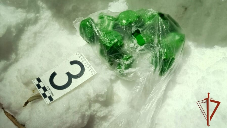 В Новосибирске сотрудники Росгвардии задержали подозреваемого в попытке сбыта наркотических средств в крупном размере