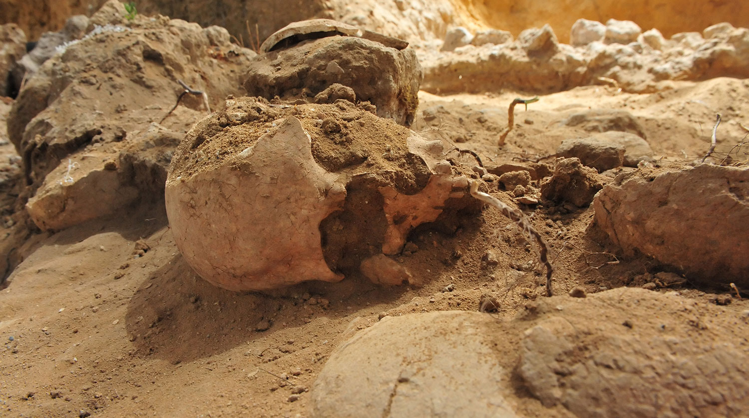 Немецкие археологи. Человеческие кости найденные в огороде.