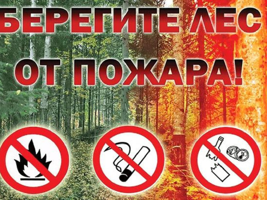 Серпуховчией просят соблюдать правила пожарной безопасности в лесах
