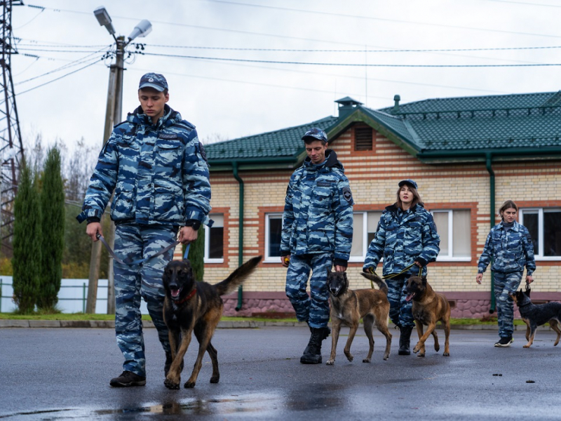 JPG Файл