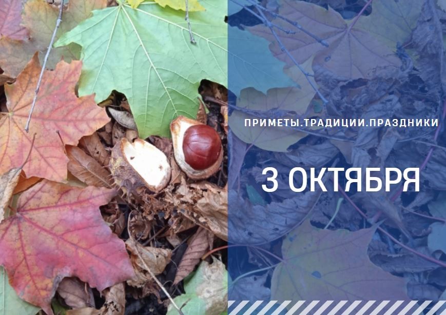 Приметы 3 октября: что нельзя делать на Астафия Ветряка, чтобы не было беды