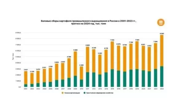 Валовый сбор картофеля в России за последние 20 лет существенно вырос