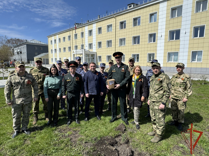 Новосибирские Росгвардейцы посадили сосну из Крыма в знак дружбы между регионами