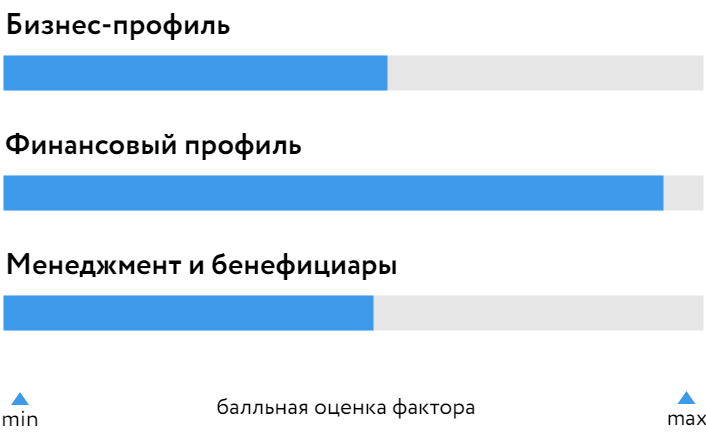 Моторика_БОСК_310724.png