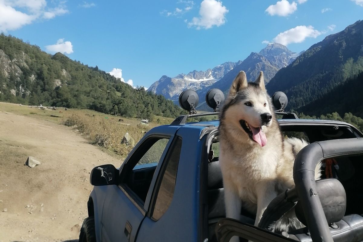 «Идеальный для города и надежный спутник в горах»: опыт эксплуатации Isuzu Amigo