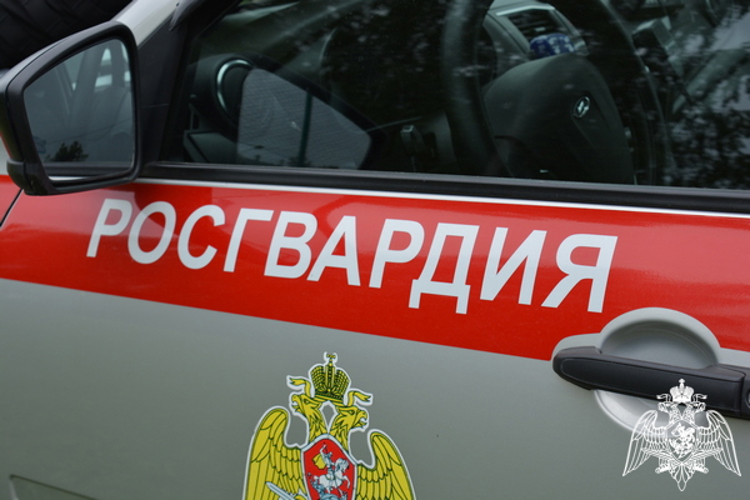 35 правонарушителей на территории Вологодской области задержали сотрудники вневедомственной охраны Росгвардии за минувшую неделю