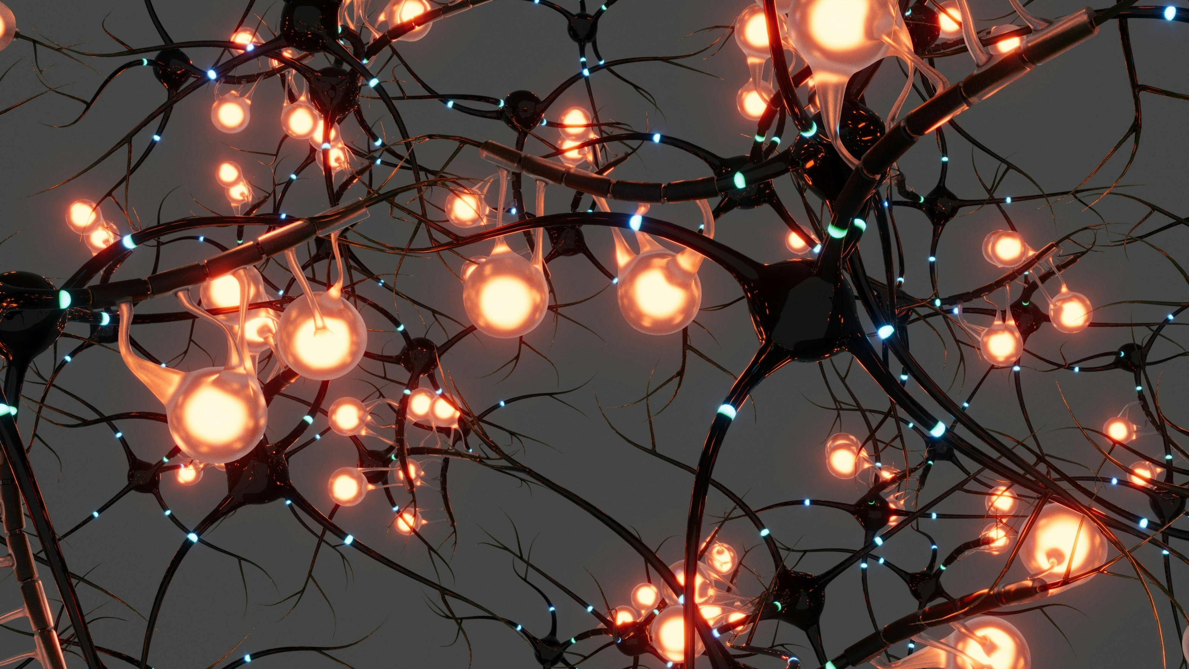 bhautik-patel-NVprB2Xt1bA-unsplash.jpg