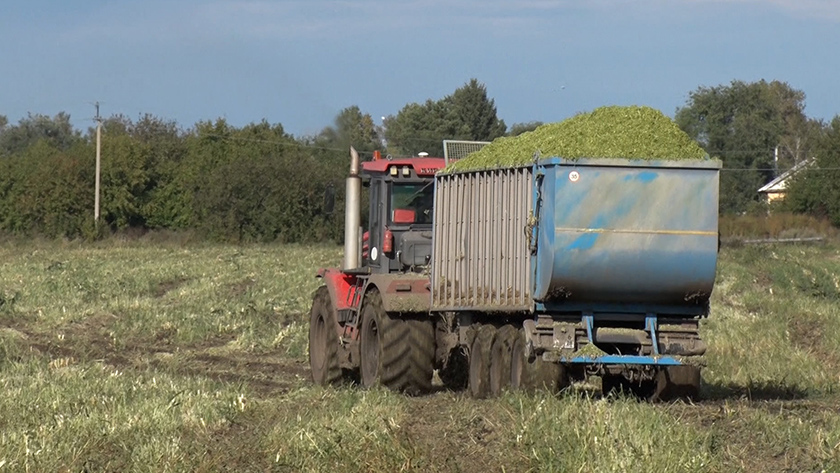 Уборка силоса в Амурской области близится к завершению - gtrkamur.ru