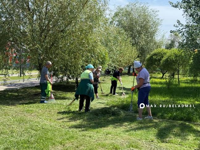 4,2 млн квадратных метров растительности предстоит выкосить коммунальщикам в Белгороде - Изображение 4