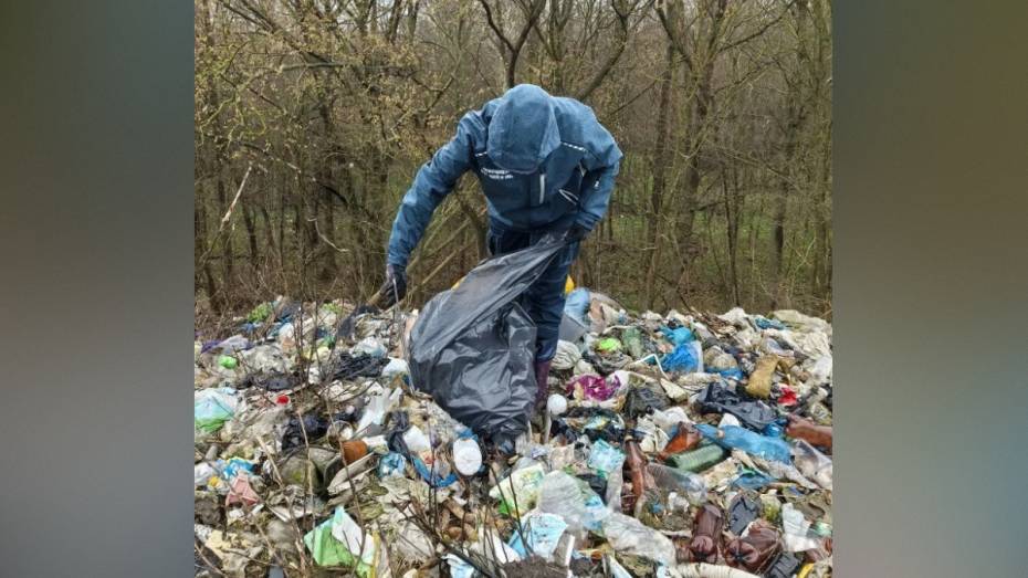 В Воронежской области мусорный полигон нанес ущерб почвам на 11,6 млн рублей