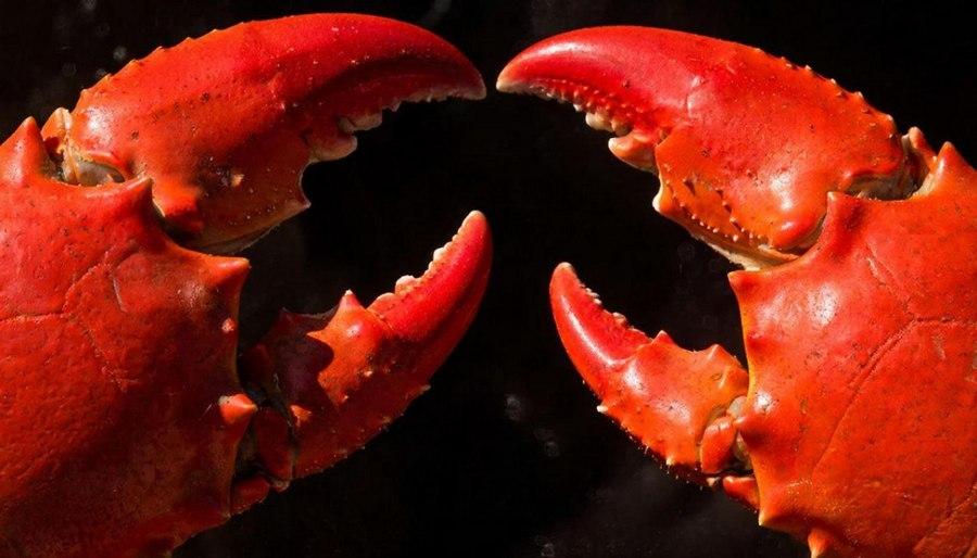 фото: GigaChat | Крупный в Приморье рыбколхоз попал в клешни госкомпании