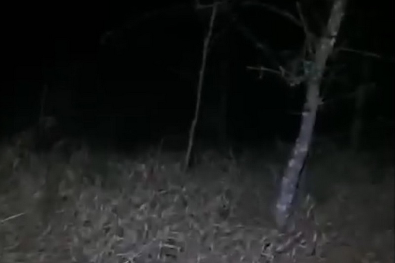 новости курган