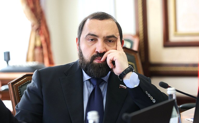 Встреча сенаторов РФ с депутатом Великого национального собрания Турции, председателем группы дружбы с Россией Великого национального собрания Турции Муратом Байбатуром