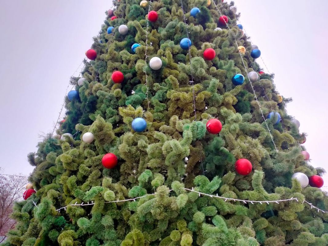 елка начинает