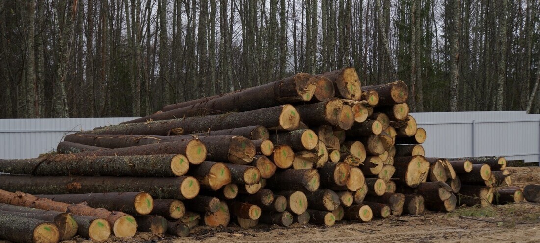 Более 1 млн рублей взыскали с вожегодца за вырубленный его отцом лес