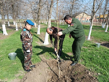 В красноярском селе посадили деревья в память погибших участников СВО