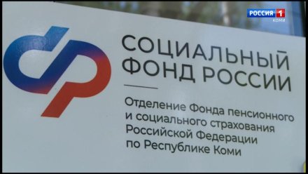 Единое пособие на детей и беременных в Республике Коми в 2025 году: новые требования и возможности