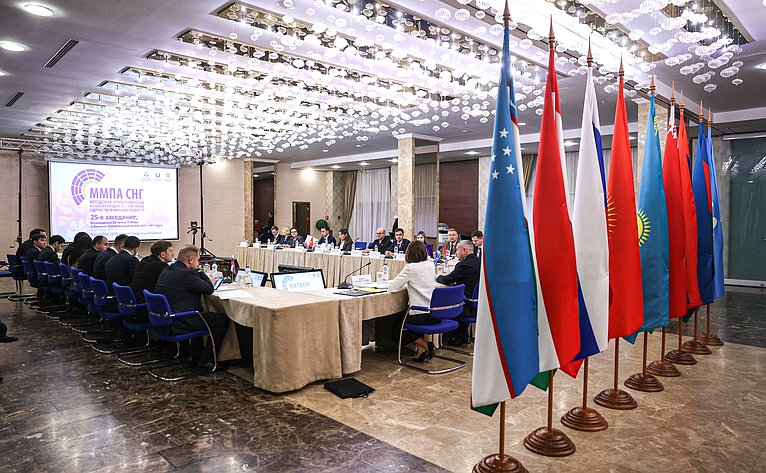 Сергей Карякин принял участие в выездном заседании Молодежной межпарламентской ассамблеи государств-участников Содружества Независимых Государств