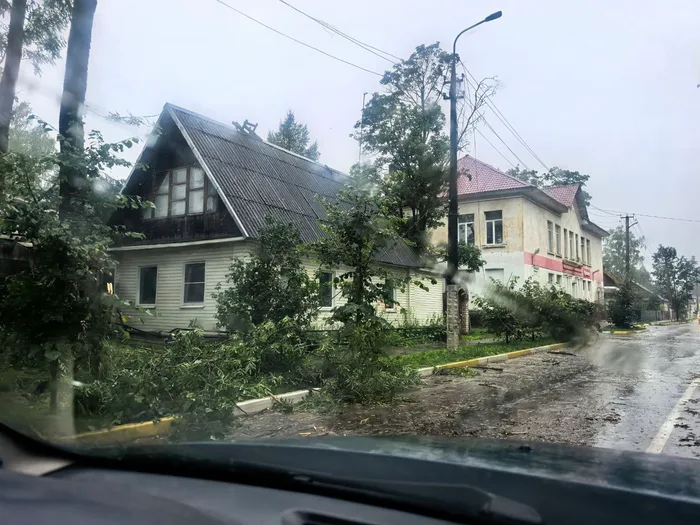Фото: Леонид Курсенков