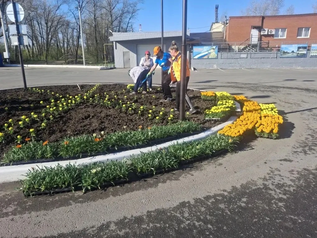 В парках и скверах Балакова высаживают цветы
