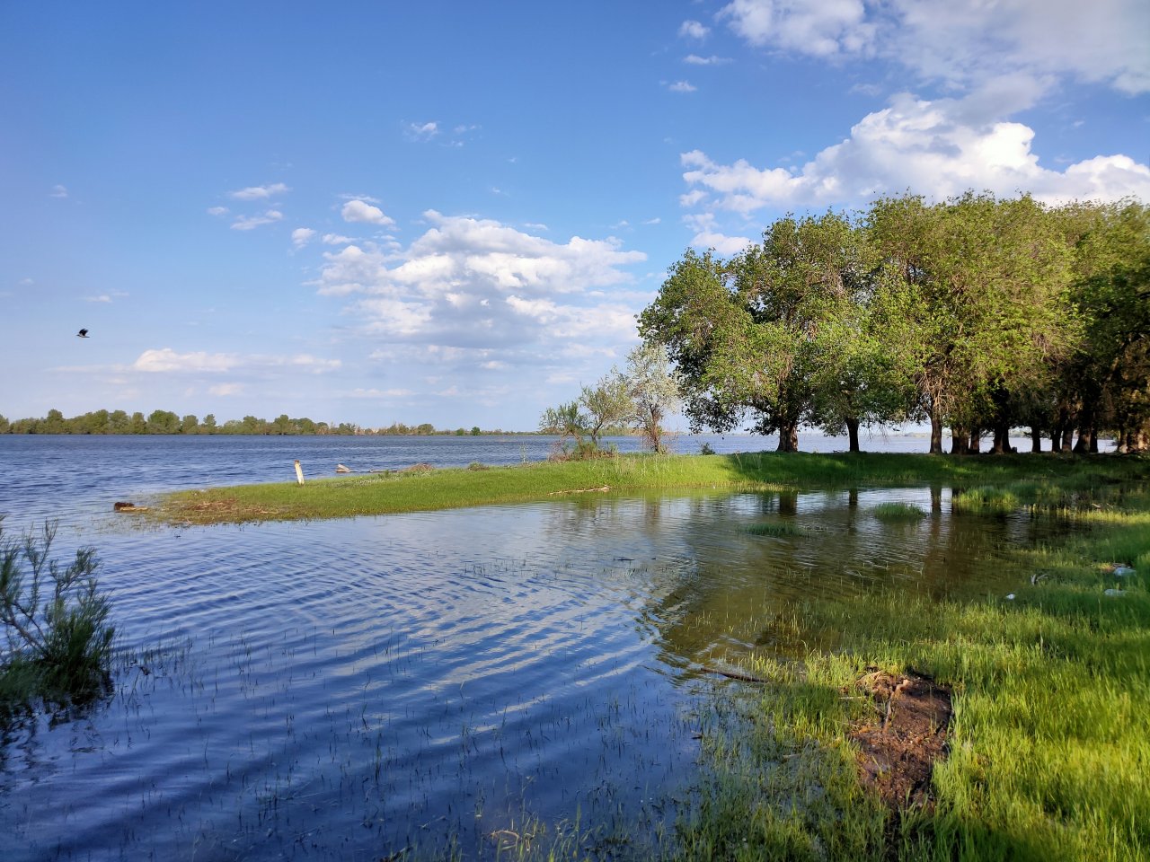 остров в астрахани