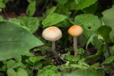 5708260.jpg?b90bfd12f63ac81a37e0d5959c0a4b1c