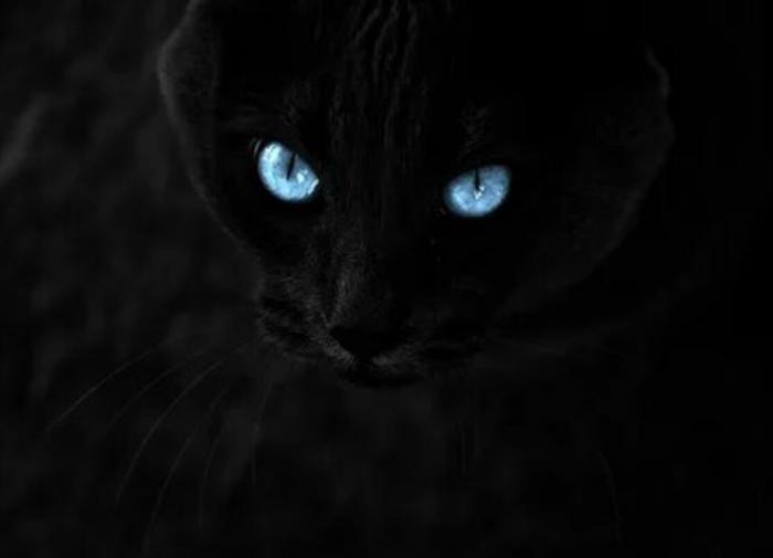 Кинокритик Шнейдеров: фильм Локшина 