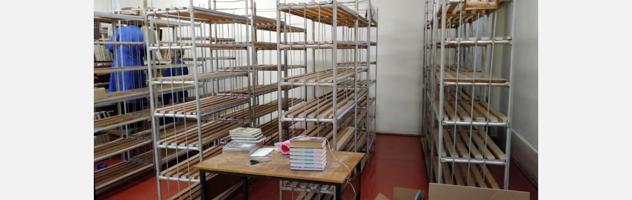 Вторая модельная библиотека появится в Йошкар-Оле в 2023 году