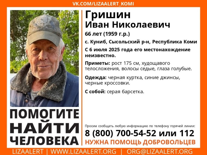 В Сысольском районе ищут 66-летнего мужчину