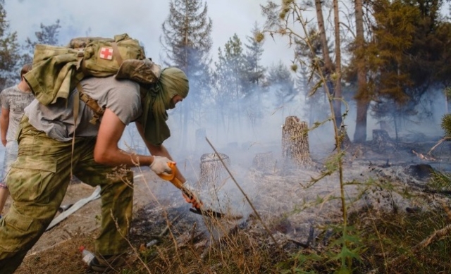 Лесной пожар в Боржомском ущелье