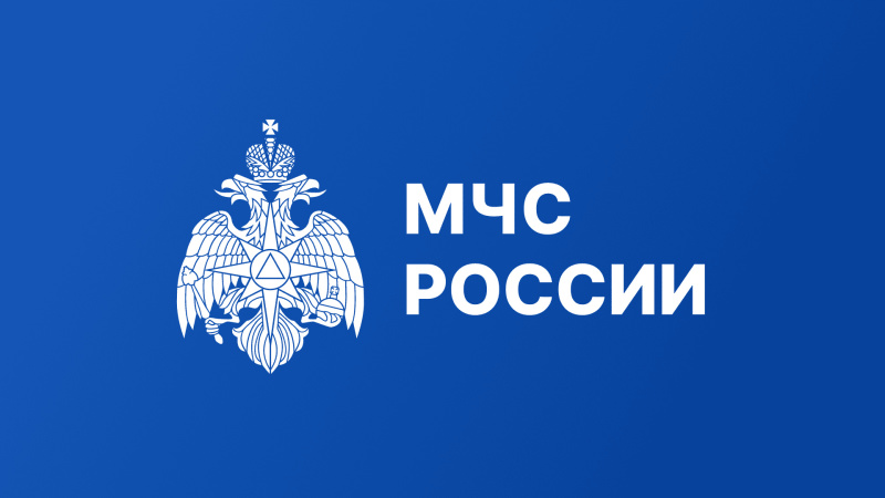 Оперативная информация о природных пожарах станет частью информационной системы МЧС России