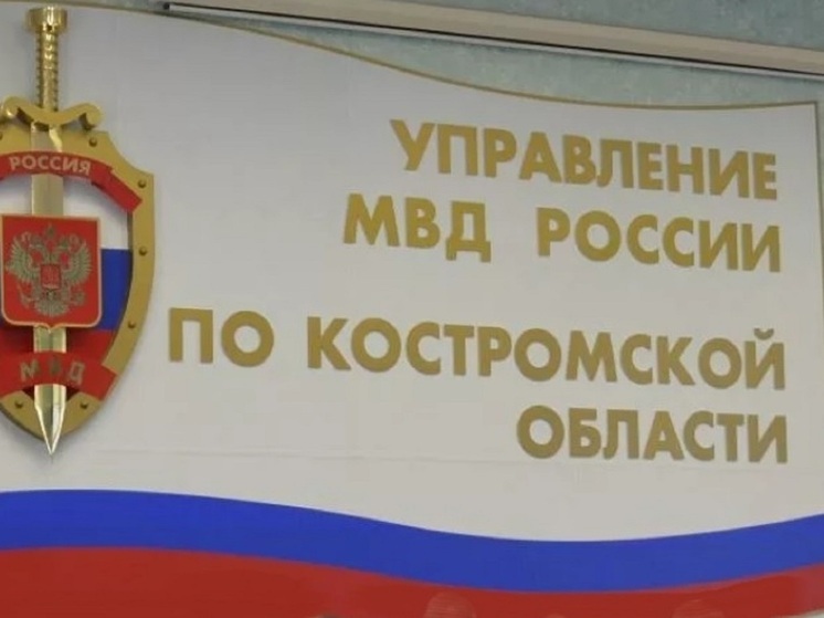 Костромская полиция отчиталась об улучшении криминогенной ситуации в области