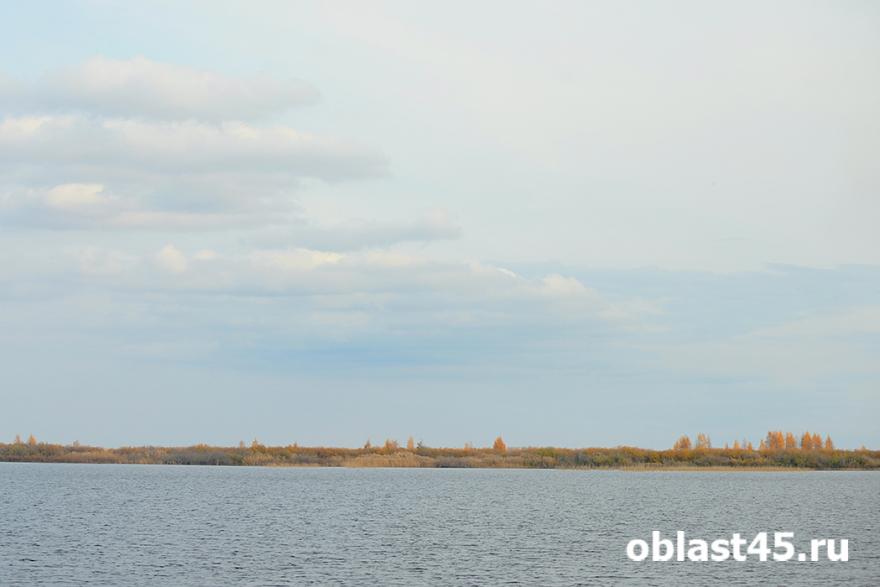 В Курганской области ребёнок утонул, нырнув в воду с мостика