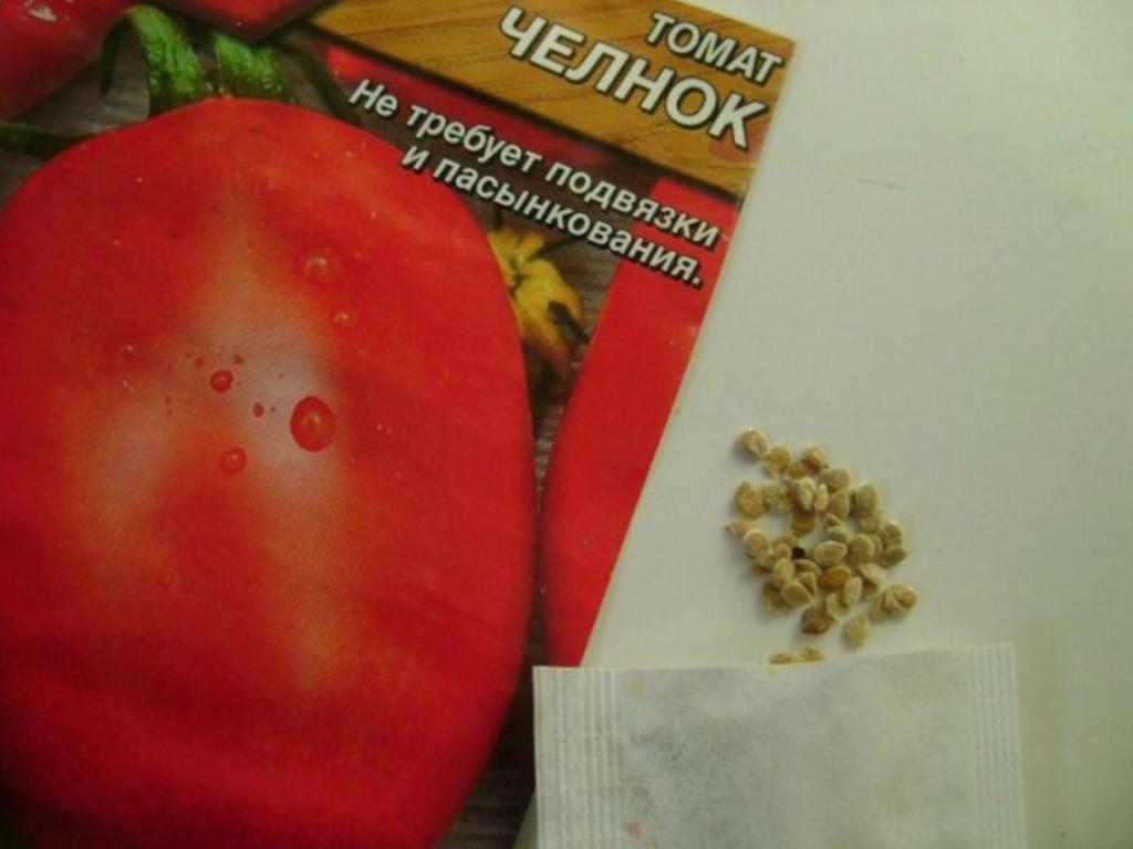 Как правильно выращивать семена помидоров. Семена томат челнок. Хорошие семена томатов. Семена помидоров лучшие. Семена помидор челнок.