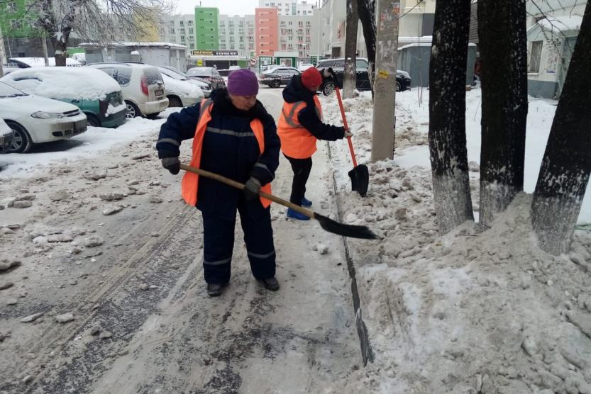 Снег с участка на дорогу. Дорожная служба Сова. Испытание: наведение порядка. Сегодня очистить от снега участок.