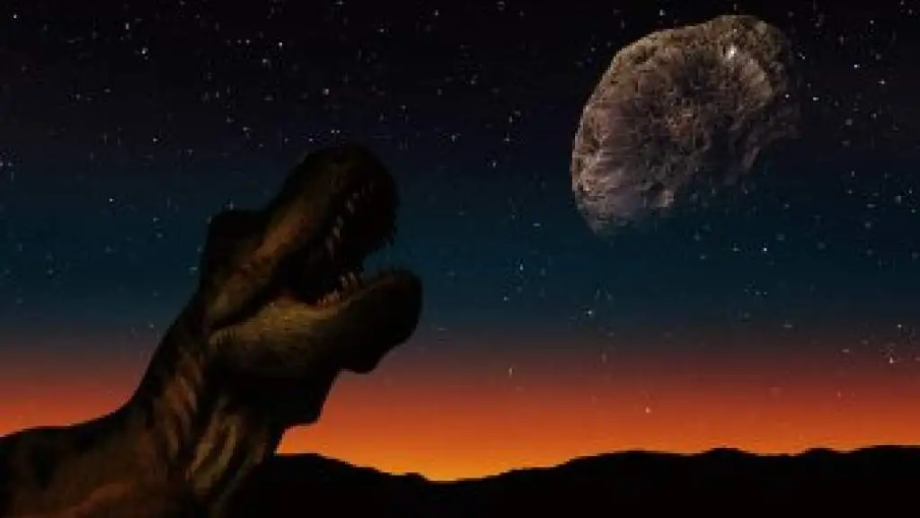 Предки людей пережили столкновение с астероидом, убившее динозавров