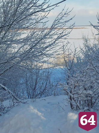 Саратовский министр накормила в зимнем лесу птиц