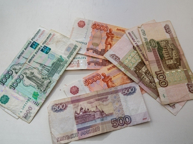 Супруги из Новосибирской области выплатили более 2,5 миллиона задолженности по алиментам