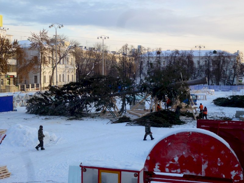 Городская елка екатеринбург фото Новогоднюю елку привезли на главную площадь Екатеринбурга в 85-й раз. ФОТО Регио