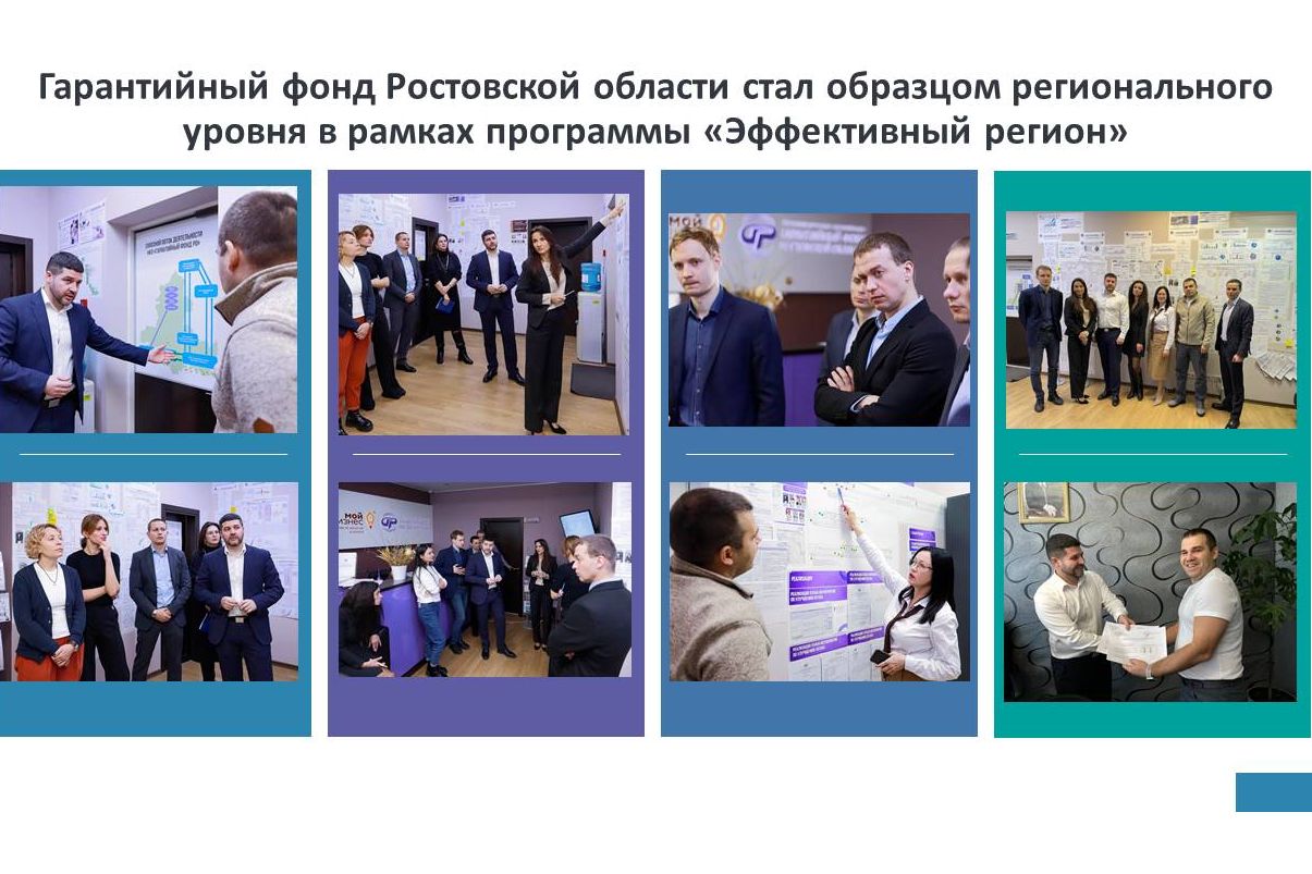 Проект эффективный регион ростовская область
