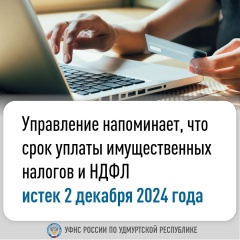 Управление напоминает, что срок уплаты имущественных налогов и НДФЛ истек 2 декабря 2024 года