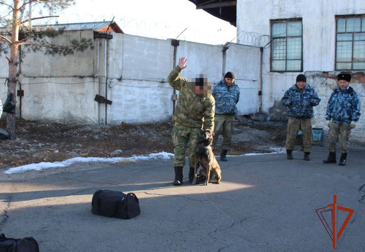 Кинолог ОМОН «Адыг» стал лучшим среди специалистов кинологических подразделений Тувы