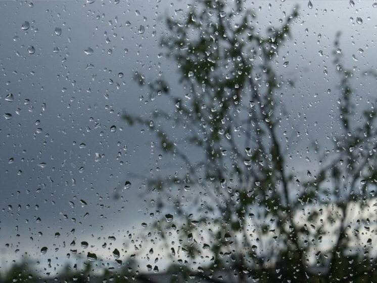 Ярославцев предупредили о проливном дожде