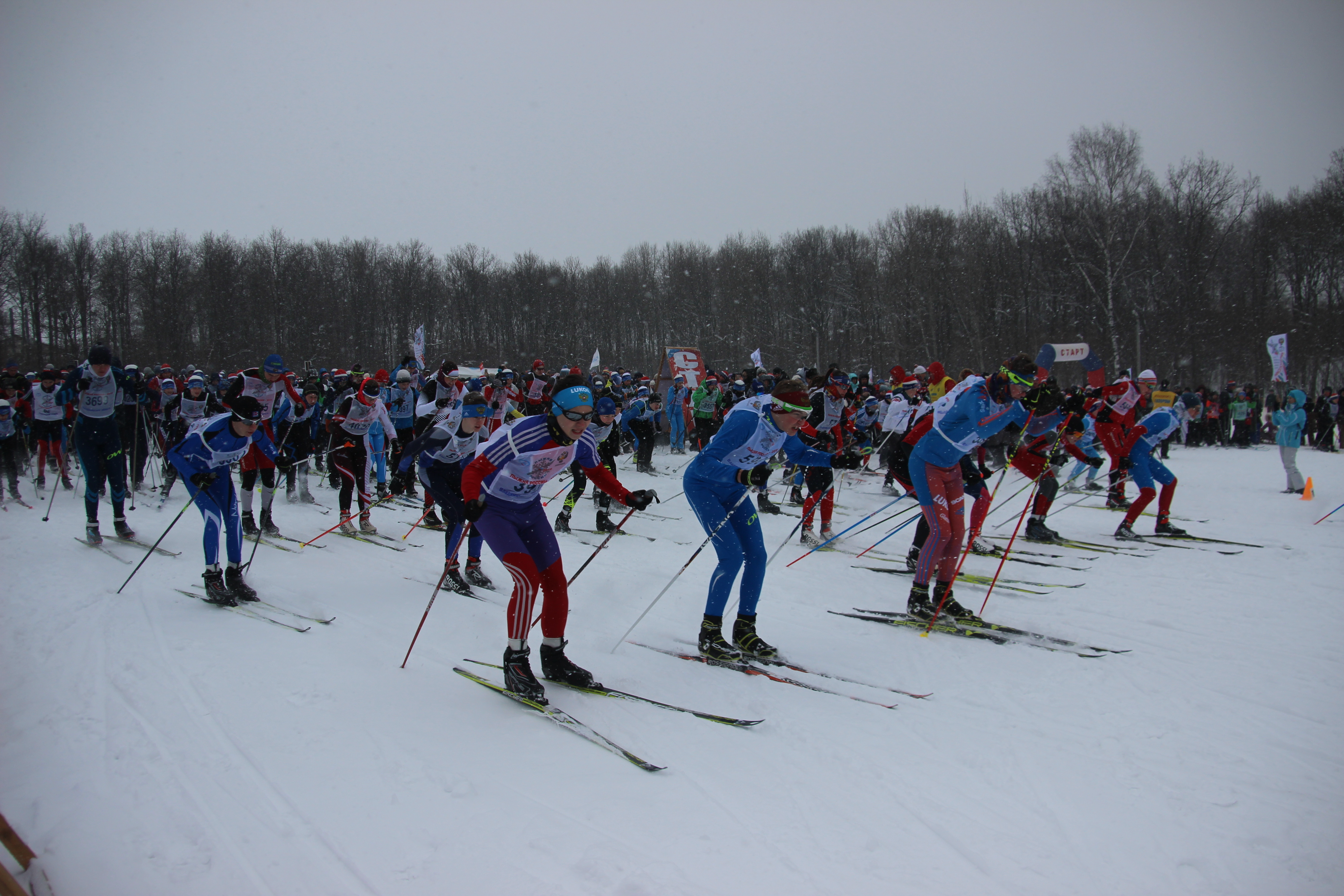 спорт владимирская область